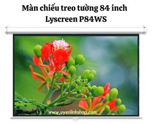 Màn chiếu treo tường Eco Screen P84WS