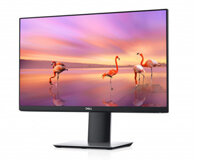 Màn Dell P2319H - IPS Full Viền