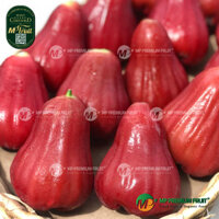 Mận Đỏ An Phước