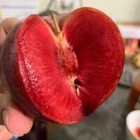 Mận đỏ Úc (0422)