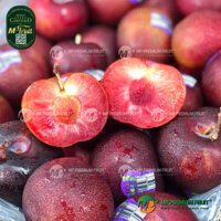 Mận Đỏ Úc | Croc Eggs