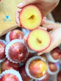 Mận Đỏ Úc – Kg