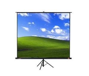 Màn hình 3 chân Tripod Dalite (60’’ x 60’’) 1:1