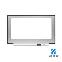 Màn Hình Asus G713 144Hz FHD 17.3 Inch ROG Strix G17
