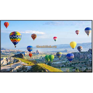 Màn hình chuyên dụng Panasonic TH-50EQ1