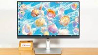 Màn hình Dell 22 Inch Professional P2222H