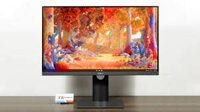 Màn hình Dell 24 Inch Professional P2418D