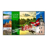 Màn hình E-LED 55 inch Full HD PANASONIC TH-55LF80W