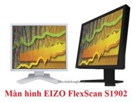 Màn hình EIZO FlexCan S1902 chuyên dùng trong đồ họa sản phẩm từ JAPAN