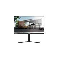 Màn hình Gaming VSP VG248B (23.8"/FHD/IPS/165Hz)