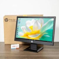Màn hình HP 19 Inch P19v G4