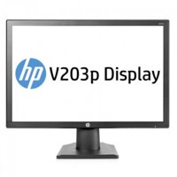 Màn hình HP V203p 19.5Inch LED