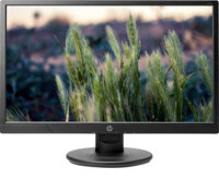 Màn hình HP V214b 20.7 inch (3FU54AA)
