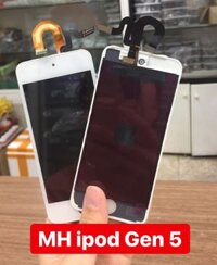 Màn Hình Ipod Gen 5 Zin
