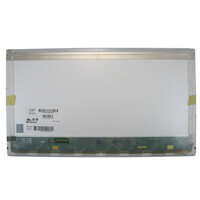 Màn hình Laptop 17.3 inch (LED)