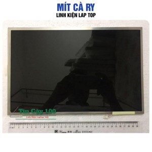 Màn hình laptop Acer Aspire 4310