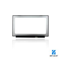Màn hình laptop Lenovo ThinkPad T590 Series – 15.6 inch FHD