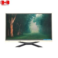 Màn hình LCD 32” ViewPaker All In One E320DMG-D IPS 120Hz Chính Hãng