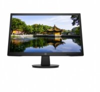 Màn hình LCD HP V22v 450M4AA