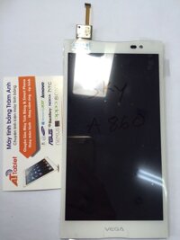 Màn hình LCD SKY A860 (full bộ)