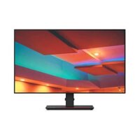 Màn hình Lenovo ThinkVision P24H-20 (23.8inch/QHD/IPS/60Hz/6ms/300nits/HDMI+DP+USB+Audio) (23.8 inch, UWHD (2560x1440), WQHD (3440x1440), Màn Hình Lenovo)