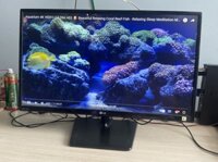 Màn Hình LG 24MP47HQ-P (LCD 24 INCH, 1920 X 1080, LED, IPS)