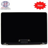 Màn hình MacBook 12 inch Retina A1534 (2015, 2016)