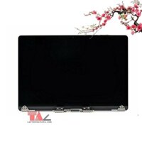 Màn hình Macbook Pro 2017 15 inch A1707