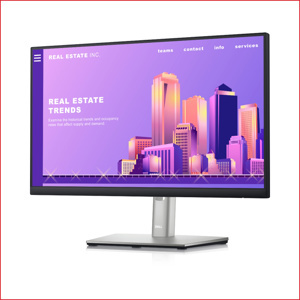 Màn hình máy tính Dell Pro P2222H - 21.5 inch