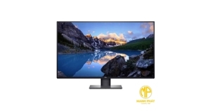 Màn hình máy tính Dell U4320Q - 43 inch