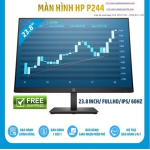 Màn hình máy tính HP P244 5QG35AA - 23.8 inch