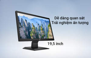 Màn hình máy tính HP V20 1H849AA - 19.5 inch