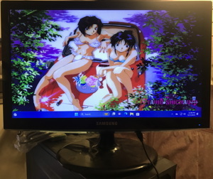 Màn hình máy tính Samsung S19B310B - LCD, 18.5 LED