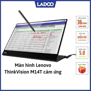 Màn hình máy tính Lenovo M14T - 14 inch