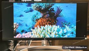 Màn hình máy tính LG 29WN600-W - 29 inch
