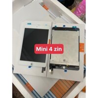 Màn hình Mini 4 zin