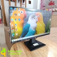 MÀN HÌNH MSI MP251 24.5"/IPS/300cd/100Hz/ĐEN