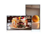 Màn hình quảng cáo treo tường 19 inch