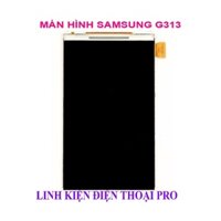 MÀN HÌNH SAMSUNG G313