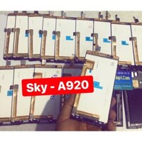 Màn hinh sky a920 a900