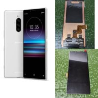 Màn hình Sony Xperia 1