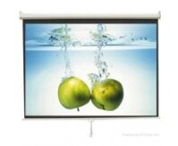 Màn hình treo tường Wall Dalite