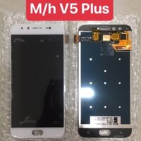 Màn hình vivo V5 plus full bộ zin