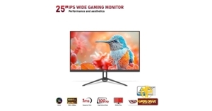 Màn hình VSP IP2505W, 25 inch