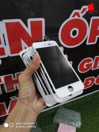 MÀN HÌNH ZIN IPHONE 5S