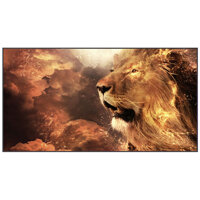 Màn quang học Grandview PE-L133(16;9)