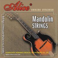 Mandolin Strings AM04