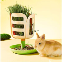 Máng ăn cỏ hoa sen 2in1 có nút vặn cố định cho thỏ, bọ ú, chuột lang, gerbils, sóc bắc mỹ