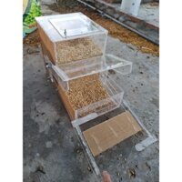 Máng ăn tự động cho gà, vịt, cút, chim bồ câu tiện lợi