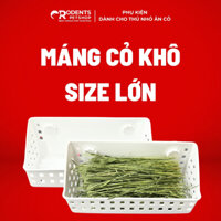 Máng cỏ khô size lớn | Dành cho Bọ Ú, Thỏ, Chinchilla, ...